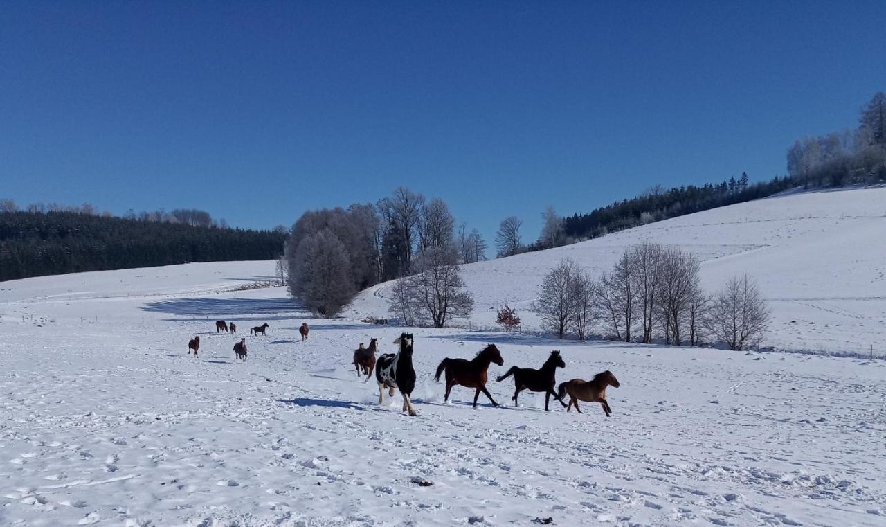 Отель Lidmiluv Mlyn Sadek Экстерьер фото